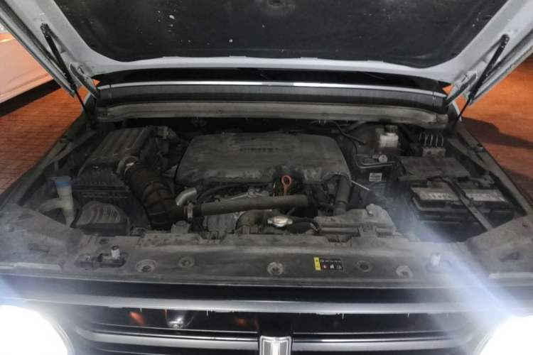 Used Tank 300 2021 Off-Road Edition 2.0T Conqueror Engine Bay