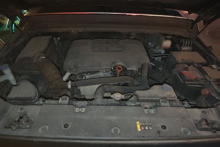 Used Tank 300 2021 Off-Road Edition 2.0T Conqueror Engine Bay