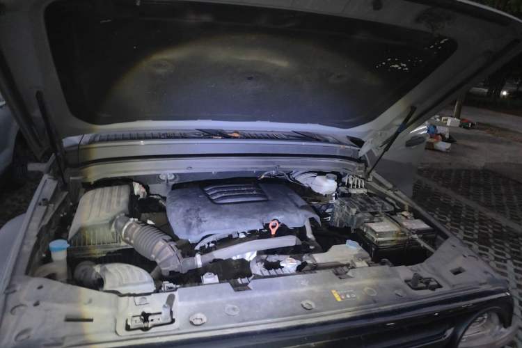 Used Tank 300 2021 Off-Road Edition 2.0T Challenger Engine Bay