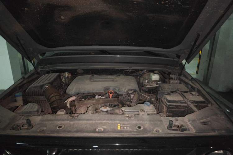 Used Tank 300 2021 City Edition 2.0T—Truly Stylish Engine Bay