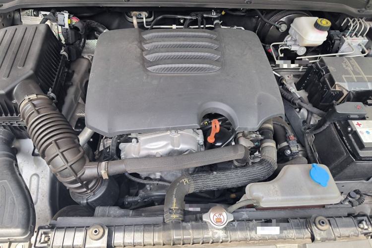 Used Tank 300  Engine Bay