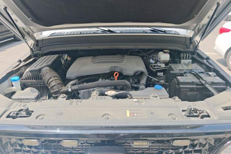 Used Tank 300  Engine Bay