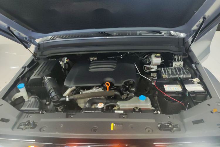 Used Tank 300 2021 Off-Road Edition 2.0T Conqueror Engine Bay