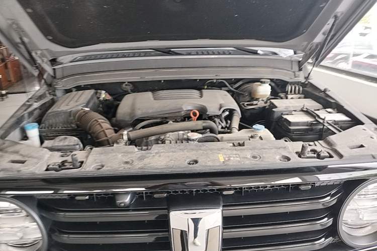 Used Tank 300 2021 Off-Road Edition 2.0T Conqueror Engine Bay
