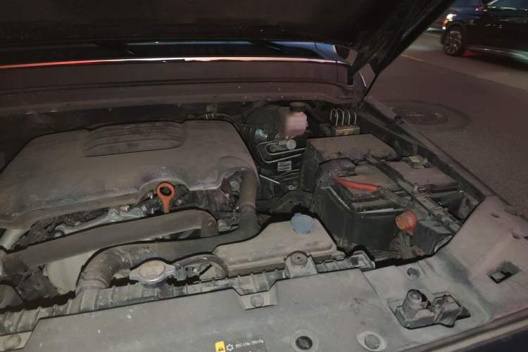 Used Tank 300 2021 Off-Road Edition 2.0T Conqueror Engine Bay Left