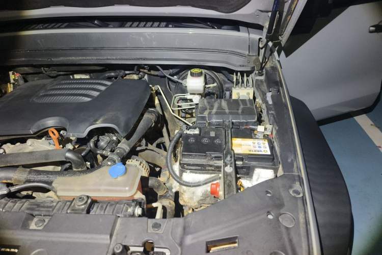 Used Tank 300 2021 Off-Road Edition 2.0T Conqueror Engine Bay Left