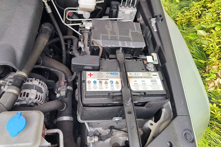 Used Tank 300  Engine Bay Left