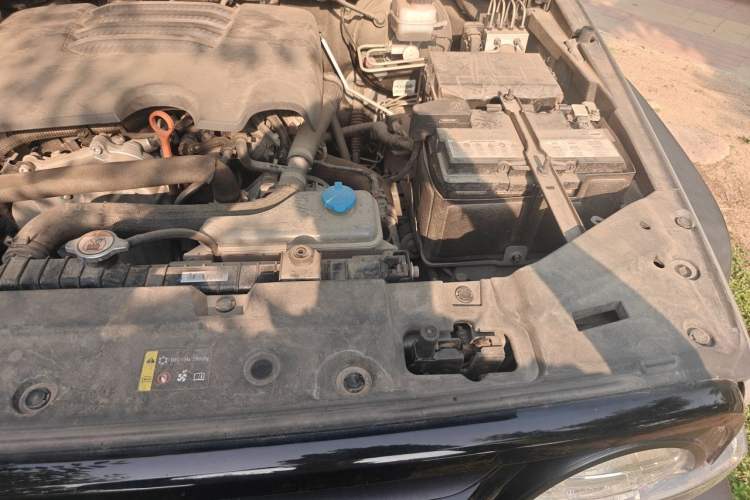 Used Tank 300 2021 Off-Road Edition 2.0T Conqueror Engine Bay Left