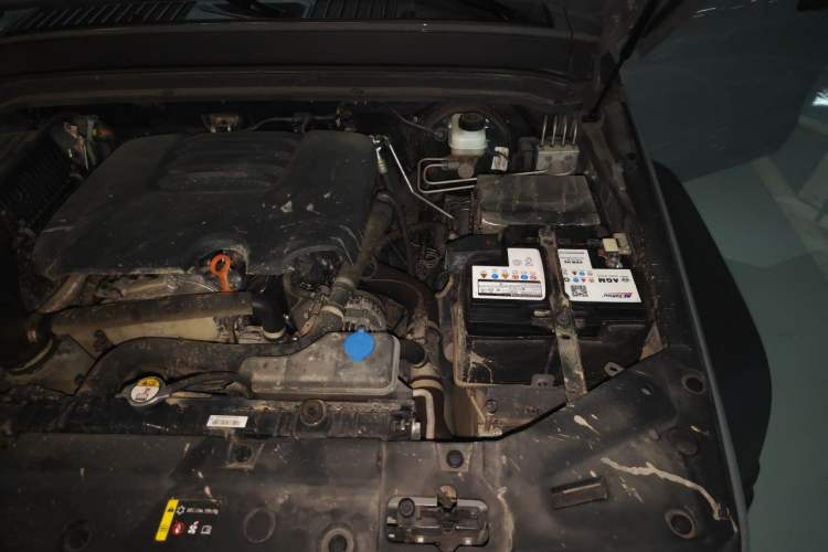 Used Tank 300 2021 Off-Road Edition 2.0T Conqueror Engine Bay Left