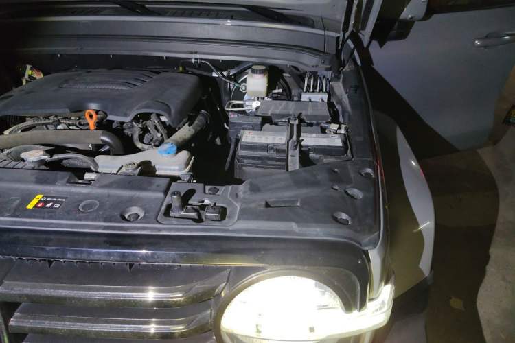 Used Tank 300 2021 City Edition 2.0T My Vision Model Engine Bay Left