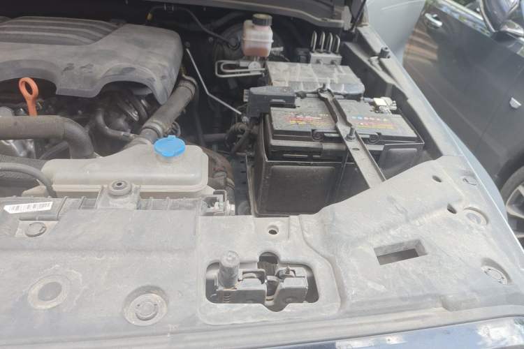 Used Tank 300 2021 City Edition 2.0T Essential Model Engine Bay Left