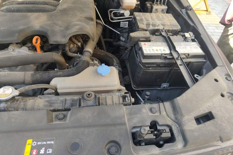 Used Tank 300 2021 Off-Road Edition 2.0T Conqueror Engine Bay Left