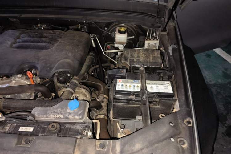 Used Tank 300 2021 Off-Road Edition 2.0T Conqueror Engine Bay Left