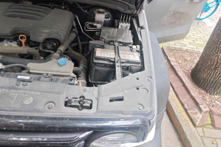 Used Tank 300 2021 Off-Road Edition 2.0T Conqueror Engine Bay Left