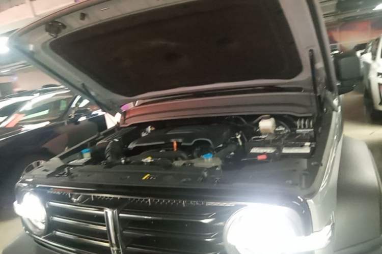 Used Tank 300 2021 Off-Road Edition 2.0T Conqueror Engine Bay