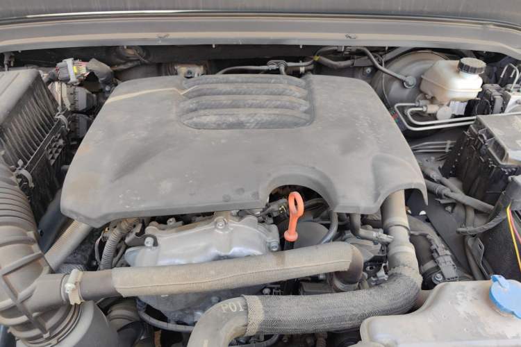 Used Tank 300 2021 Off-Road Edition 2.0T Conqueror Engine Bay