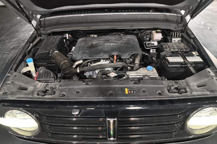 Used Tank 300 2021 Off-Road Edition 2.0T Conqueror Engine Bay