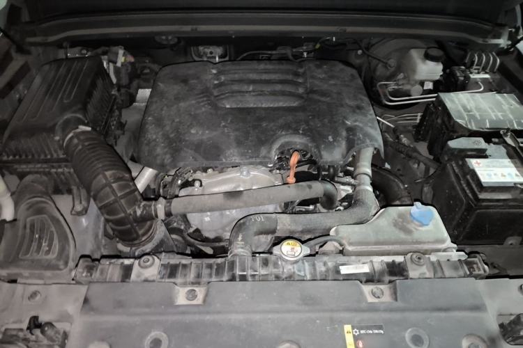 Used Tank 300 2021 Off-Road Edition 2.0T Conqueror Engine Bay