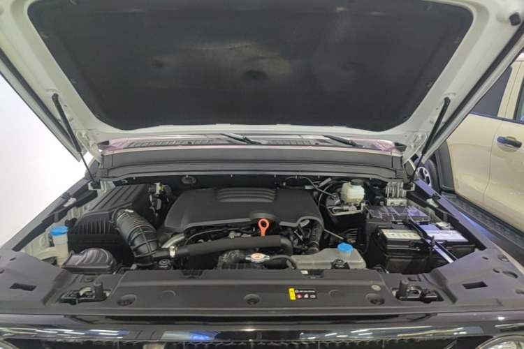 Used Tank 300 2021 City Edition 2.0T—Truly Stylish Engine Bay