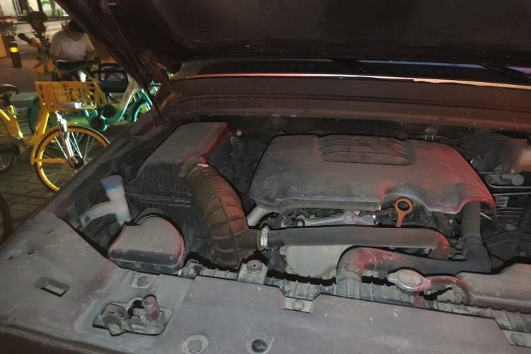 Used Tank 300 2021 Off-Road Edition 2.0T Conqueror Engine Bay Right