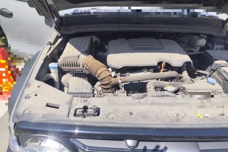 Used Tank 300 2021 Off-Road Edition 2.0T Conqueror Engine Bay Right