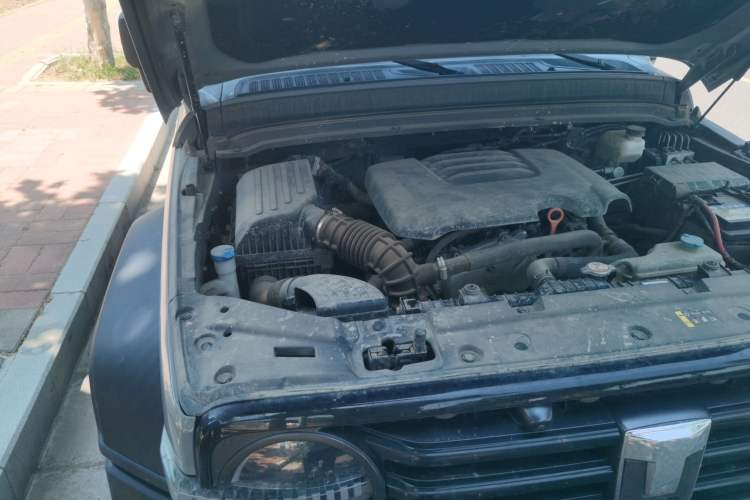 Used Tank 300 2021 Off-Road Edition 2.0T Conqueror Engine Bay Right
