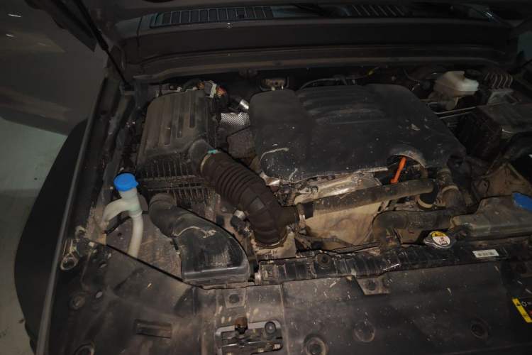 Used Tank 300 2021 Off-Road Edition 2.0T Conqueror Engine Bay Right