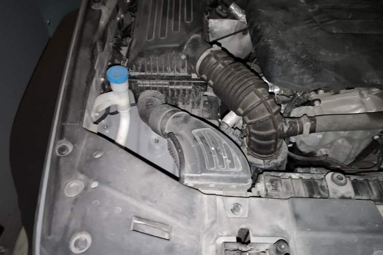 Used Tank 300 2021 Off-Road Edition 2.0T Conqueror Engine Bay Right