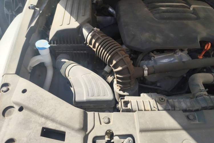 Used Tank 300 2021 Off-Road Edition 2.0T Conqueror Engine Bay Right