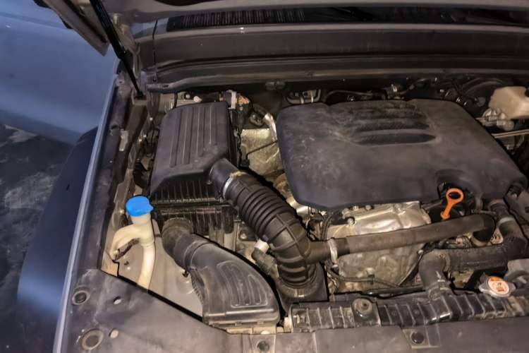 Used Tank 300 2021 Off-Road Edition 2.0T Conqueror Engine Bay Right
