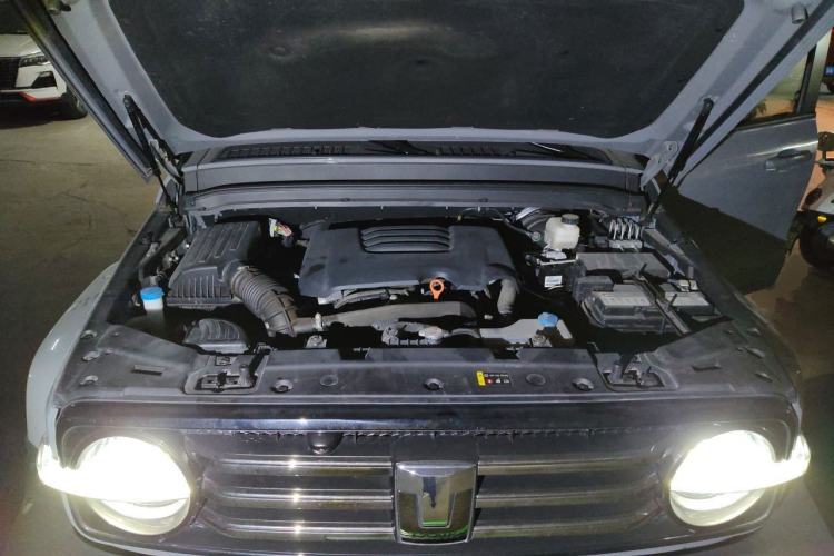 Used Tank 300 2021 City Edition 2.0T My Vision Model Engine Bay