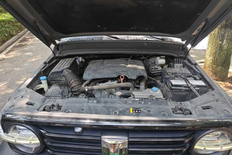 Used Tank 300 2021 Off-Road Edition 2.0T Challenger Engine Bay