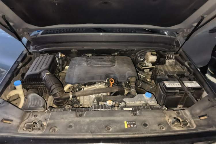 Used Tank 300 2021 Off-Road Edition 2.0T Conqueror Engine Bay