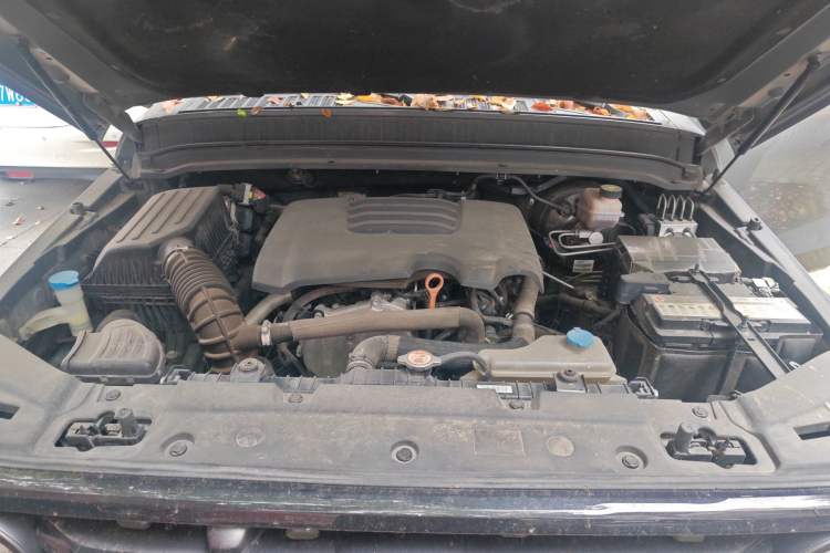 Used Tank 300 2021 Off-Road Edition 2.0T Conqueror Engine Bay