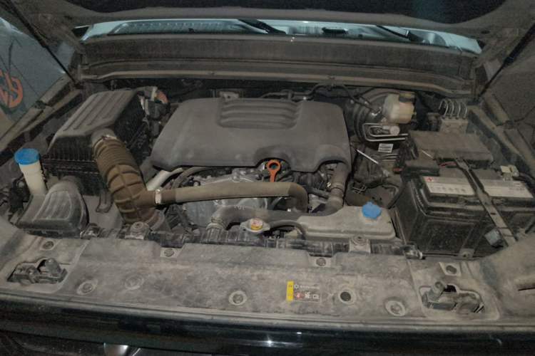 Used Tank 300 2021 Off-Road Edition 2.0T Challenger Engine Bay