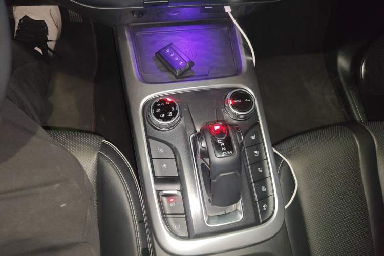 Used Tank 300 2021 City Edition 2.0T—Truly Stylish Gear Lever
