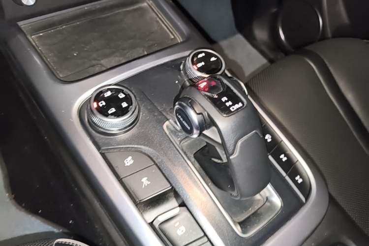Used Tank 300 2021 Off-Road Edition 2.0T Conqueror Gear Lever