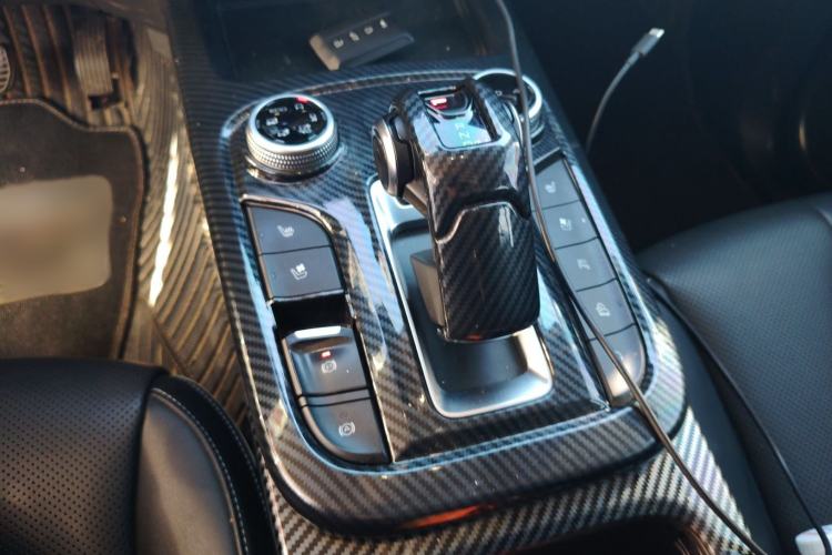 Used Tank 300 2021 City Edition 2.0T—Truly Stylish Gear Lever