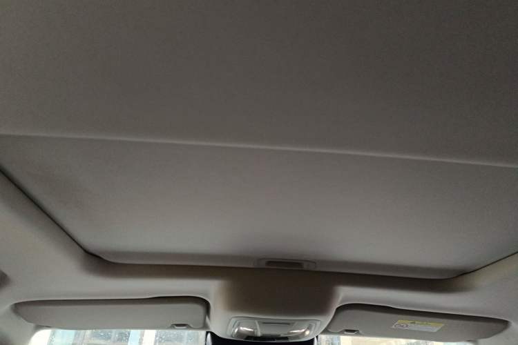 Used Tank 300 2021 Off-Road Edition 2.0T Challenger Headliner