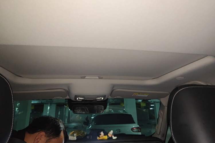 Used Tank 300 2021 City Edition 2.0T—Truly Stylish Headliner