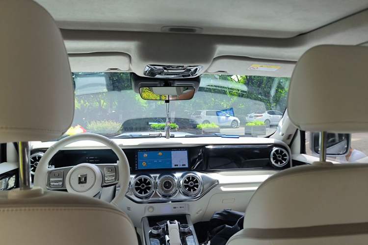Used Tank 300  Headliner