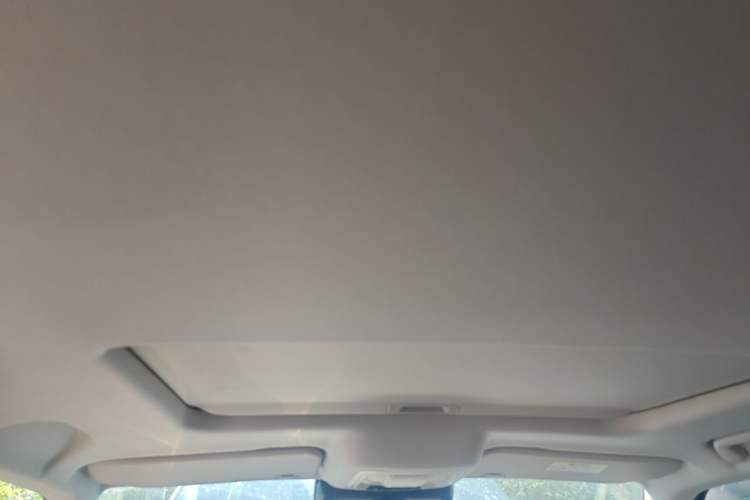 Used Tank 300 2021 Off-Road Edition 2.0T Conqueror Headliner