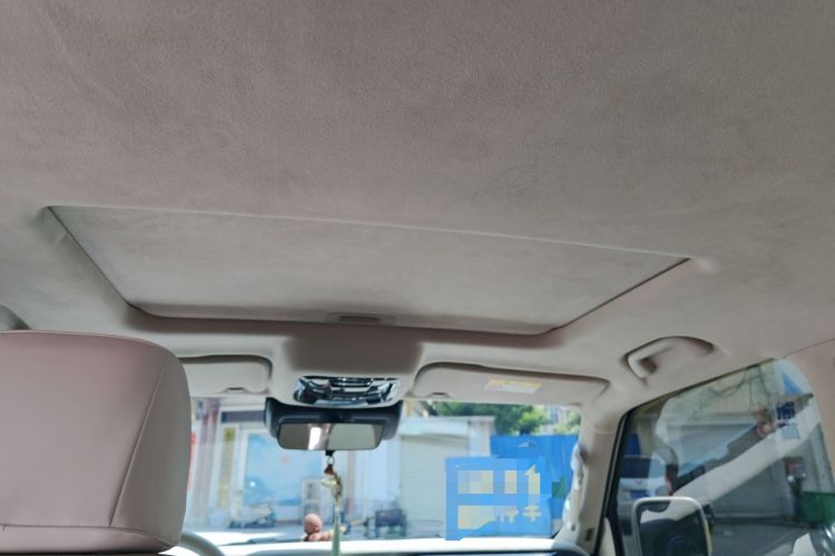 Used Tank 300  Headliner