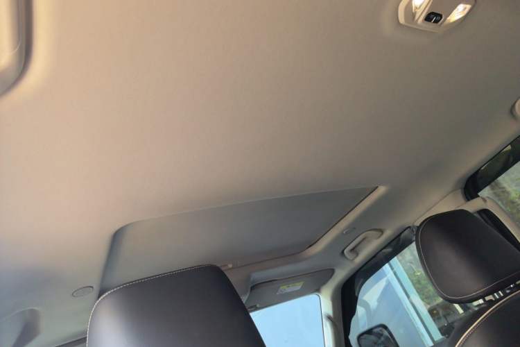 Used Tank 300 2021 City Edition 2.0T—Truly Stylish Headliner