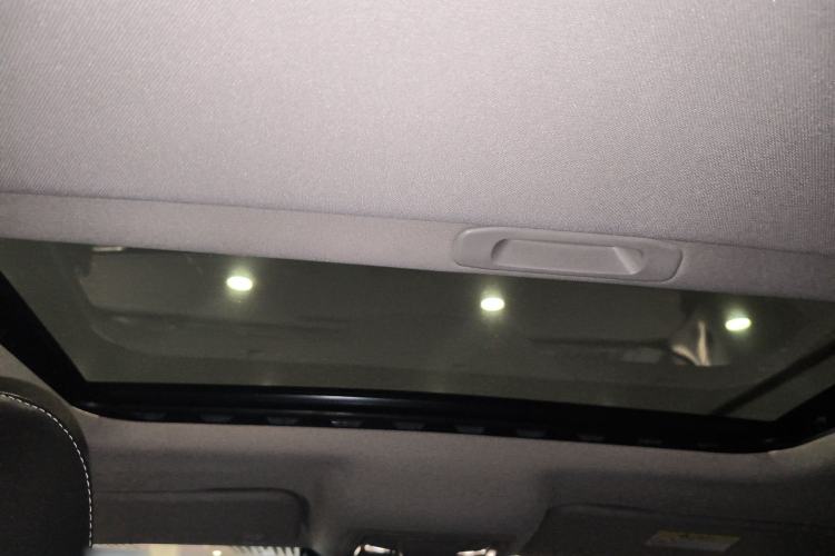 Used Tank 300 2021 City Edition 2.0T—Truly Stylish Headliner
