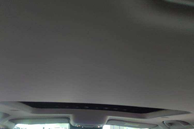 Used Tank 300 2021 City Edition 2.0T—Truly Stylish Headliner