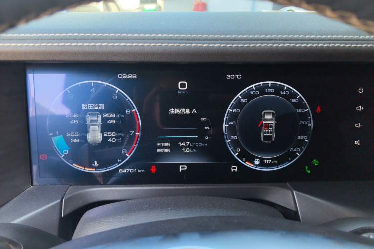 Used Tank 300 2021 City Edition 2.0T—Truly Stylish Instrument Cluster
