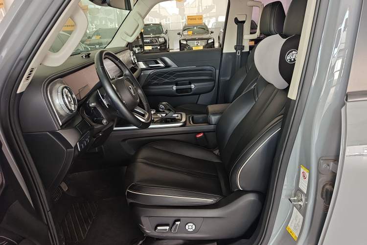 Used Tank 300 2021 City Edition 2.0T—Truly Stylish Left Front Seat