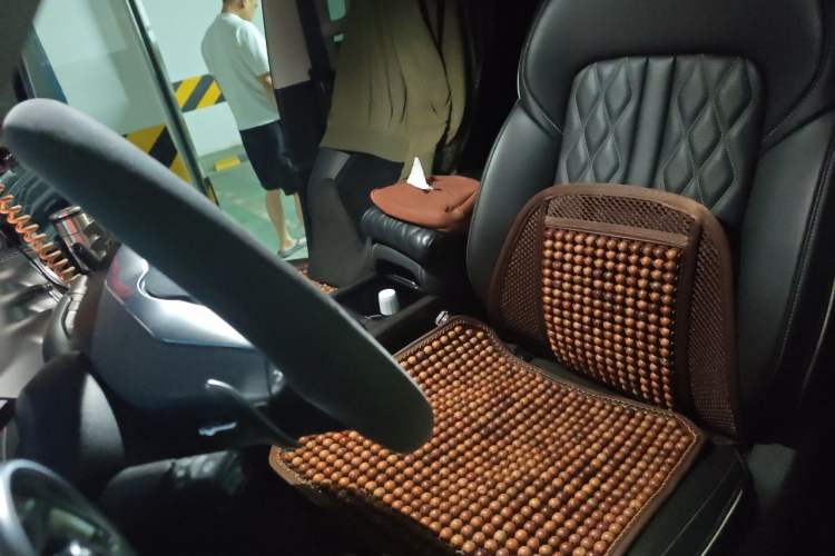 Used Tank 300 2021 Off-Road Edition 2.0T Challenger Left Front Seat