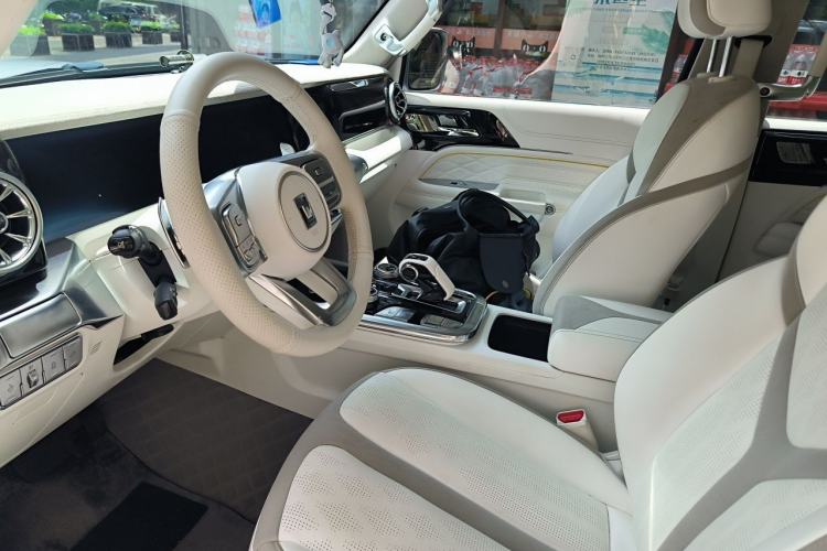 Used Tank 300  Left Front Seat
